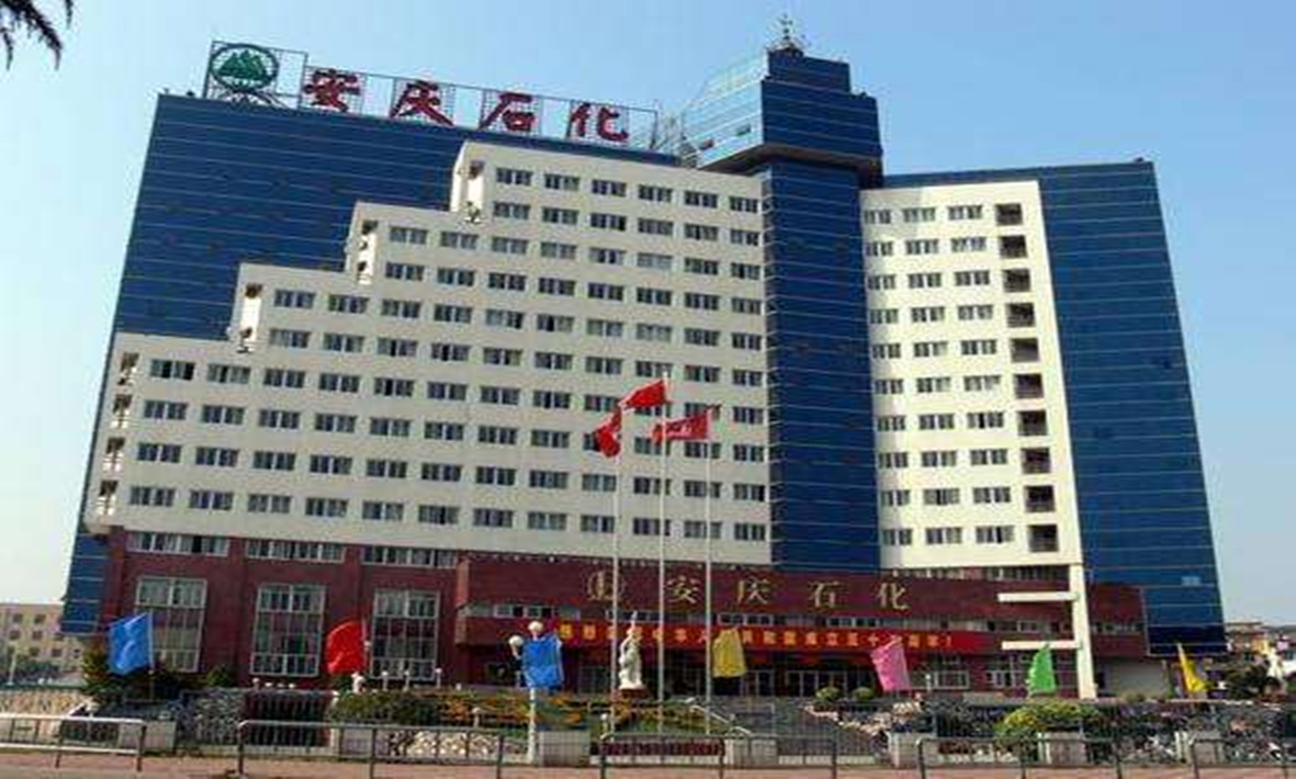 Successful Visit of Anqing Petrochemical to Lapsen